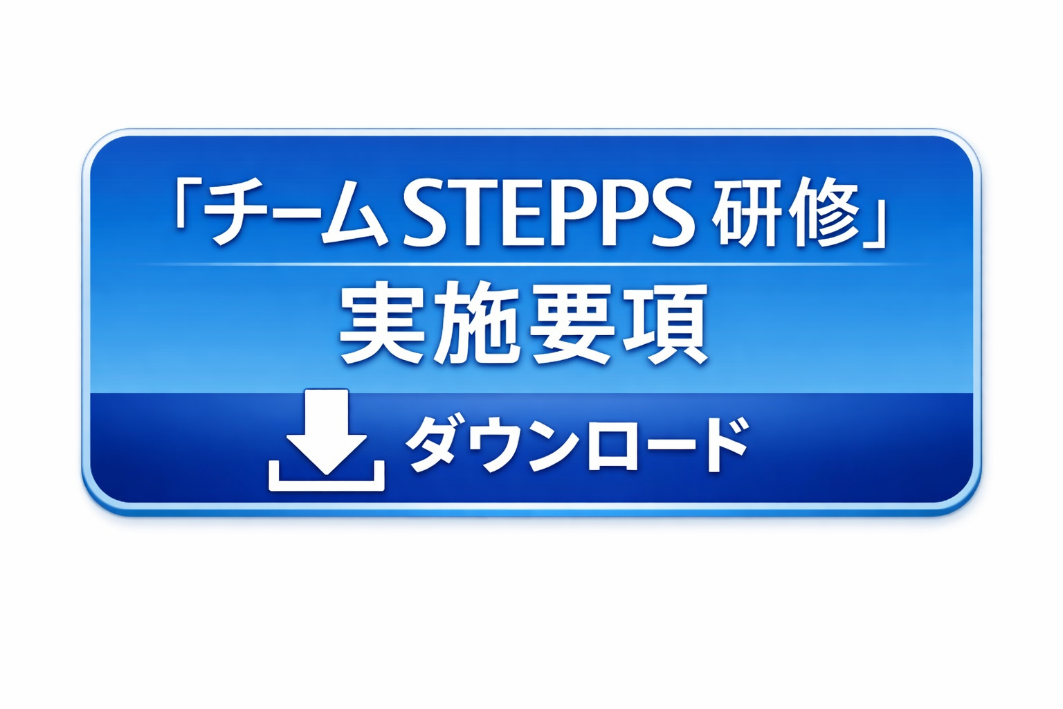 「チーム STEPPS 研修」実施要項 ダウンロード